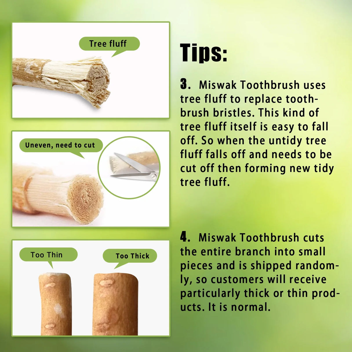 6 Pack Organic Miswak Toothbrushes | All-Natural Wooden Miswak Sticks for Teeth Whitening | Oral Care, Fresh Breath & Eco-Friendly | Original Flavor