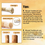 6 Pack Organic Miswak Toothbrushes | All-Natural Wooden Miswak Sticks for Teeth Whitening | Oral Care, Fresh Breath & Eco-Friendly | Clove Flavor